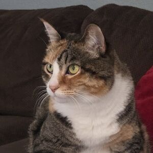 Meet your Posher, Victoria